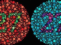 ¿Cómo ven los daltónicos? Esta sorprendente animación te lo mostrará