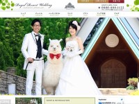 Nueva moda en Japón. Las parejas en su boda contratan ALPACAS para que sean sus testigos