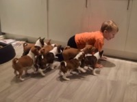 No te pierdas este video de una familia de lo más entrañable: papá, mamá, dos hermanitos y ¡16 cachorros!