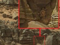 La NASA publica una foto donde se puede apreciar aparentemente a un cangrejo en Marte