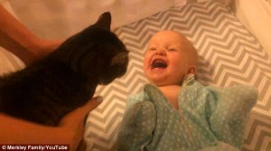 Este video conmovedor captura el deleite que siente esta bebé al ver a su gato dentro de su cuna.