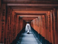 Impresionantes fotografías que capturan la magia del Japón antiguo y el nuevo