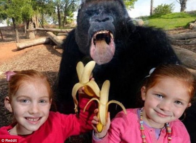 2D6966C800000578-3272515-Stop_monkeying_around_These_two_girls_got_an_unexpected_visitor_-a-11_1444901551706