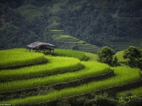 Impresionantes imágenes captan las tradiciones atemporales y la sorprendente belleza de Vietnam