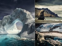 Belleza extrema: Imágenes impresionantes de un viaje a través de la Antártida