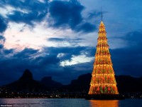 Conoce los árboles más impresionantes de Navidad en el mundo