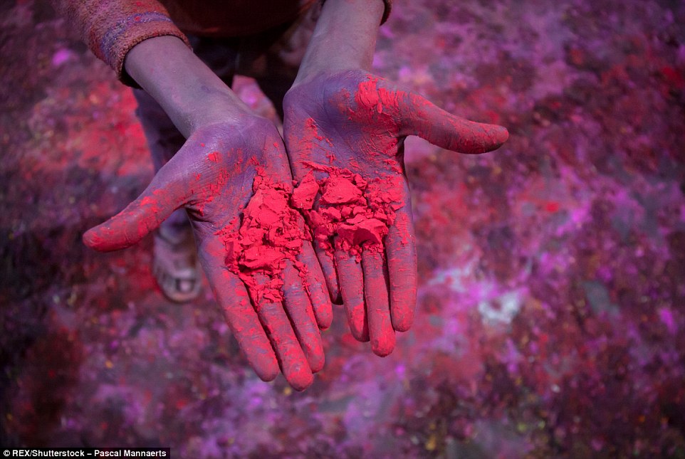 317125D500000578-3458257-Colourful_powder_above_is_placed_smeared_and_thrown_everywhere_o-a-103_1456147994311