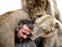 Imágenes increíbles muestran la unión entre un hombre y una manada de leones.