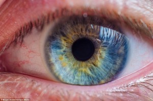 Increíbles macro-fotografías revelan la compleja belleza de los ojos