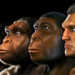 LOS 15 CAMBIOS QUE NOS HICIERON HUMANOS