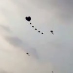 NIÑO ES ELEVADO POR UNA COMETA LAMENTABLEMENTE CON UN TRÁGICO FINAL NIÑO ES ELEVADO POR UNA COMETA LAMENTABLEMENTE CON UN TRÁGICO FINAL