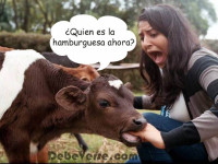 LA VENGANZA DE LA VACA