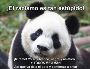 Dile NO al racismo