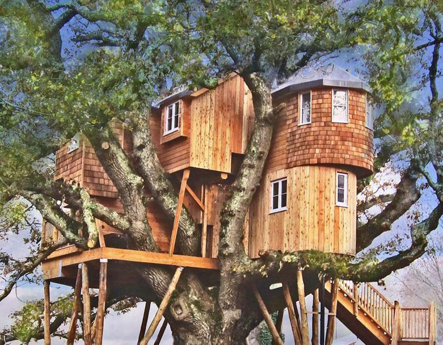 Treetops-Treehouse-59666