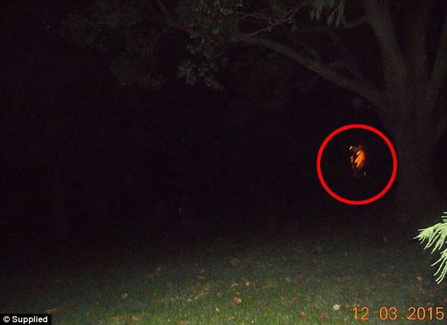 293D249E00000578-3105315-Toowoomba_Ghost_Chasers_believe_this_picture_taken_in_March_capt-a-2_1433159628754