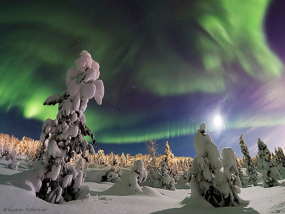29C5AF7A00000578-3131264-Lyubov_Trifonova_from_Russia_won_first_prize_in_the_beauty_of_th-a-21_1434708475581