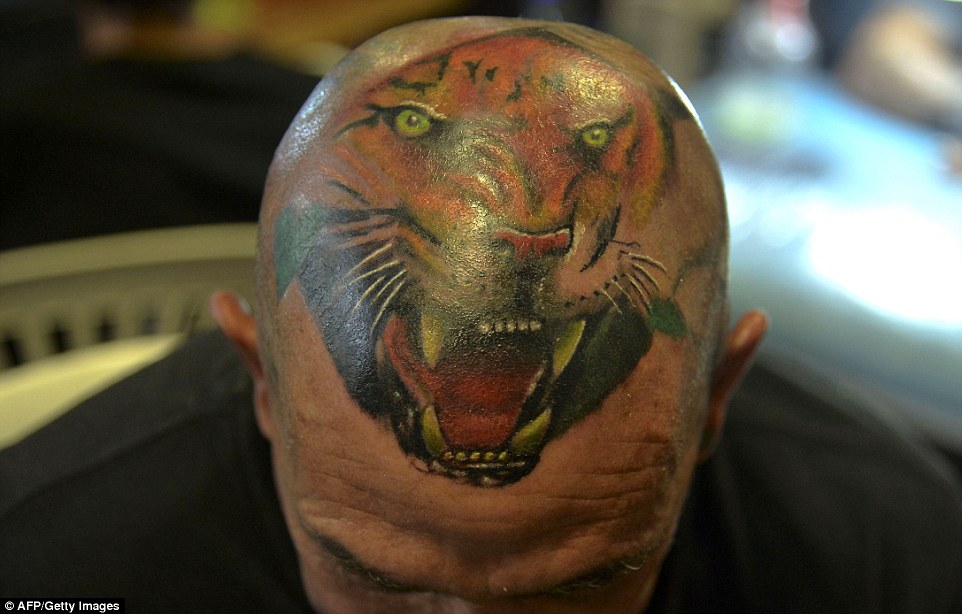 29D27A5400000578-3133591-Eye_of_the_tiger_This_toothy_design_covers_the_bald_scalp_of_a_t-a-3_1434918852766