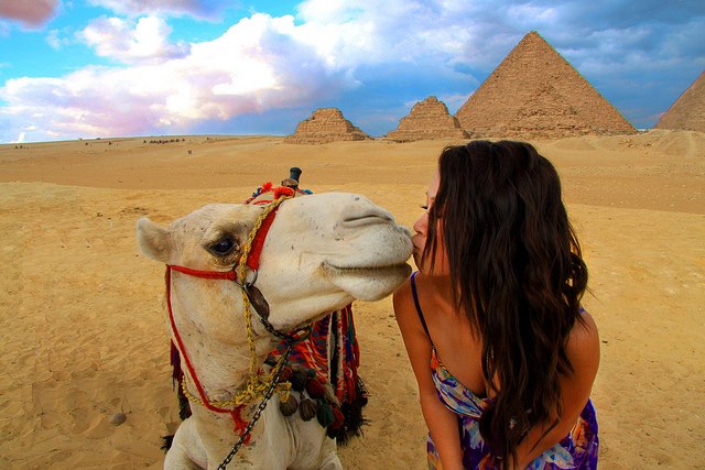 525_Camels_kiss