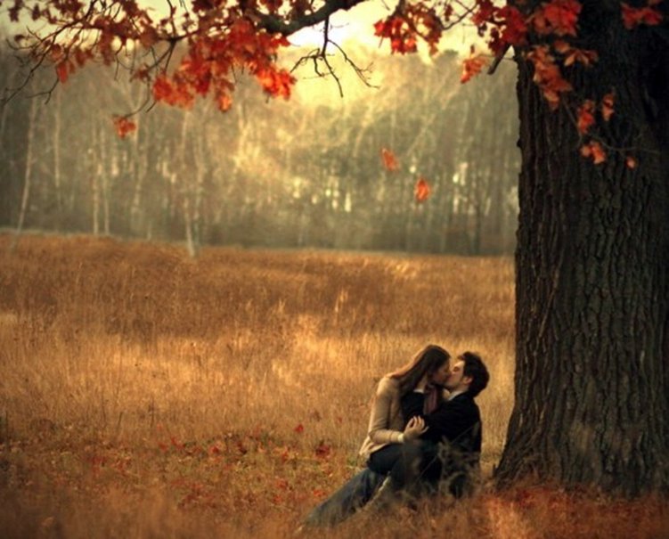 755740__a-kiss-under-the-tree_p