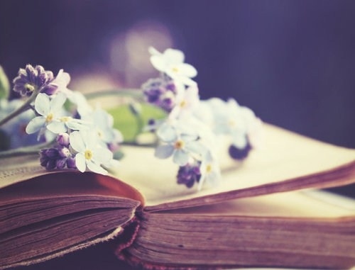 book-cute-flower-flowers-photo-photography-Favim.com-107587_large