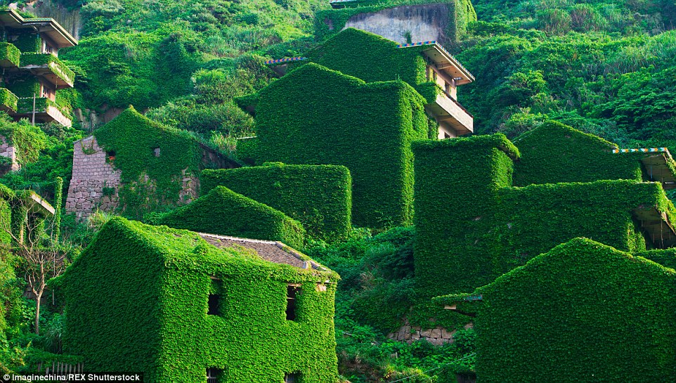 2A1A994700000578-3144528-Greenhouses_everywhere_Clothed_in_vines_and_leaves_the_former_fi-a-20_1435671620257