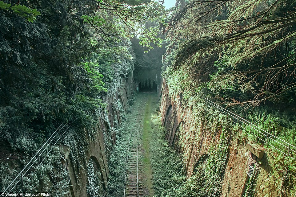 2A1A9B5100000578-3144528-The_Chemin_de_fer_de_Petite_Ceinture_of_little_belt_railway_was_-a-21_1435671620321