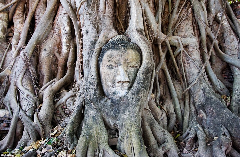 2A1A9DFB00000578-3144528-The_temple_sites_of_the_Historic_City_of_Ayutthaya_an_UNESCO_Wor-a-22_1435671620339
