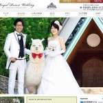 Nueva moda en Japón. Las parejas en su boda contratan ALPACAS para que sean sus testigos