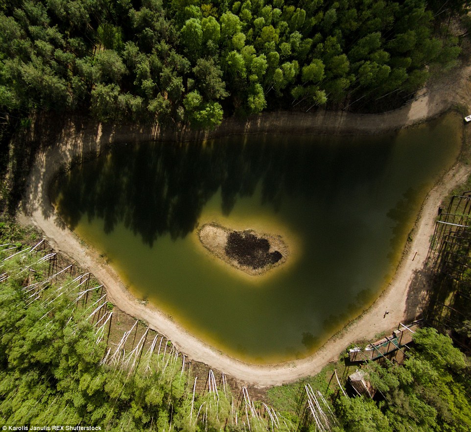 2ACC57AE00000578-3173355-Lake_with_the_island_in_Lithuania_captured_by_photographer_Karol-a-67_1437748383992