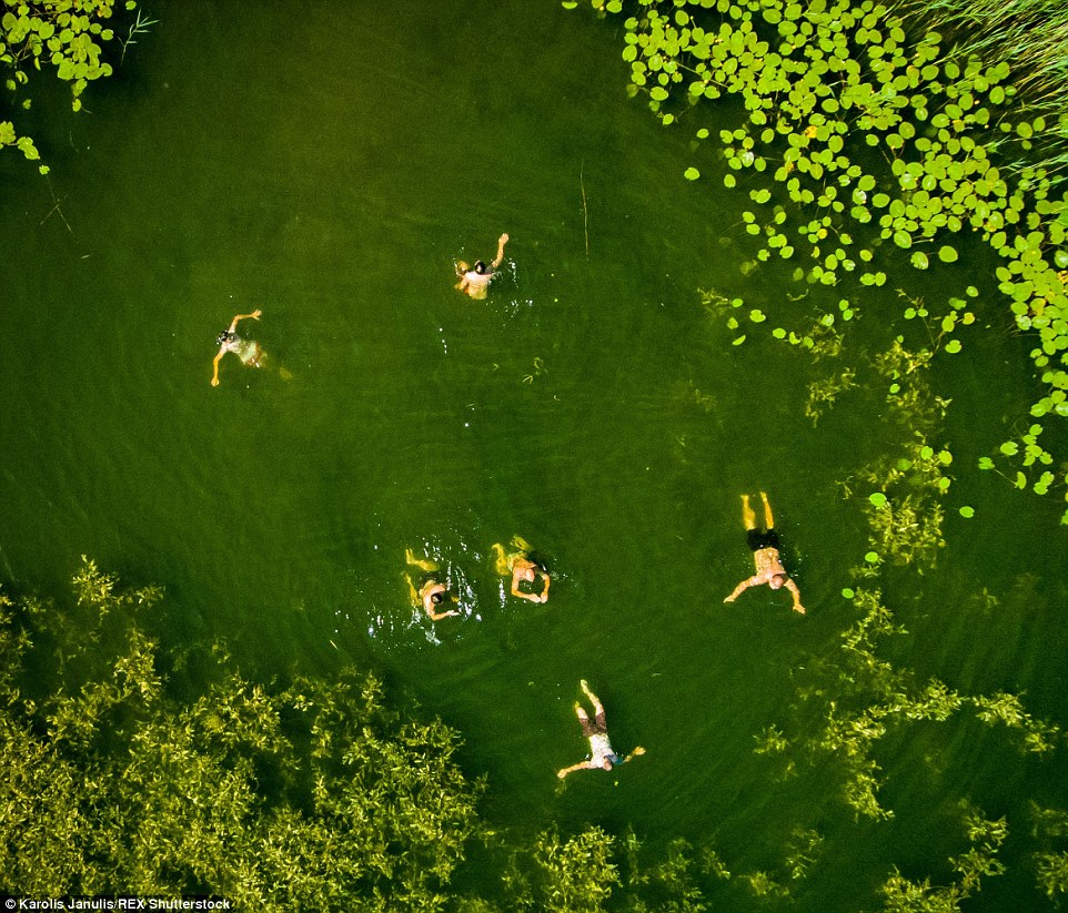 2ACC5BBD00000578-3173355-Swimmers_explore_the_vibrant_green_Lake_of_Elektrenai_Lithuania_-a-47_1437748383419