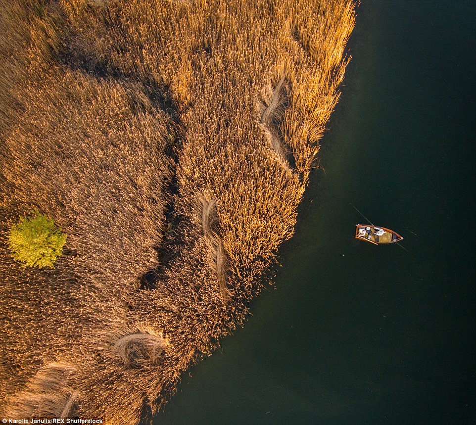 2ACC5C0000000578-3173355-Golden_glow_Fishermen_relax_out_on_the_lake_of_Elektrenai_Lithua-a-57_1437748383577