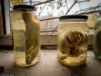 Impresionante sesión fotográfica de Chernobyl: la ciudad abandonada después del desastre nuclear de hace 30 años.