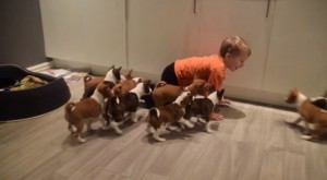 No te pierdas este video de una familia de lo más entrañable: papá, mamá, dos hermanitos y ¡16 cachorros!