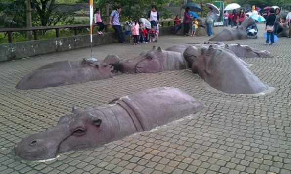 Hippo-Sculptures