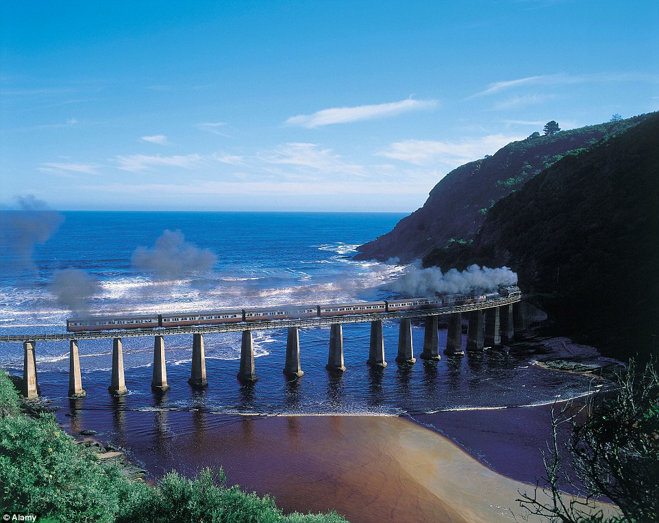 2B4CA83100000578-3193862-See_trains_chug_their_way_alogn_the_Outeniqua_Choo_Choo_Garden_R-a-1_1439449181023