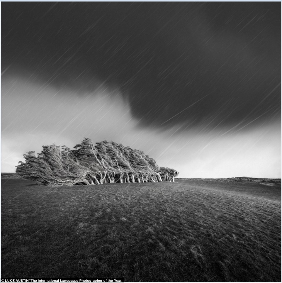2BBA273400000578-3213890-Based_in_Perth_Luke_Austin_took_home_the_International_Landscape-a-4_1440746819162