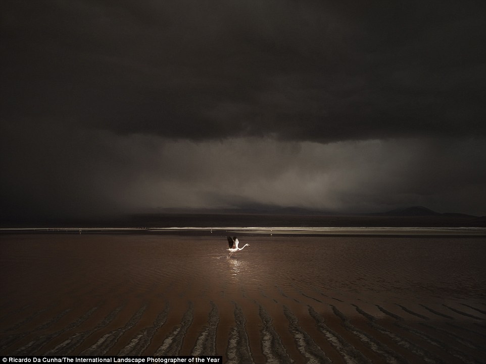 2BBA31AC00000578-3213890-Australian_Ricardo_Da_Cunha_was_runner_up_as_Landscape_Photograp-a-7_1440747268998