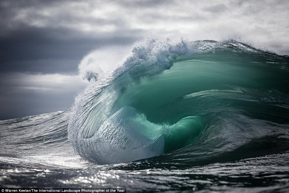2BBA31CA00000578-3213890-_I_ve_always_had_a_fascination_with_nature_especially_the_ocean_-a-8_1440747269116