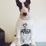 PERRO2