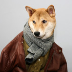 20 mascotas que van a la última moda