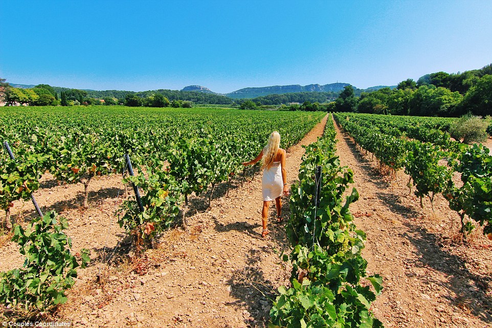 2BEFED4F00000578-3214419-The_couple_took_a_wine_tasting_course_in_Provence_which_was_fitt-a-18_1441365214710
