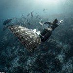 2CE3795C00000578-0-image-m-51_1443607168844