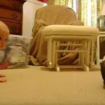 [Video] Bebé y perrito de la familia se reúnen por primera vez y esto es lo que sucede