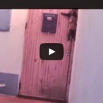 Increíble, este gato cuando quiere entrar en casa llama al timbre