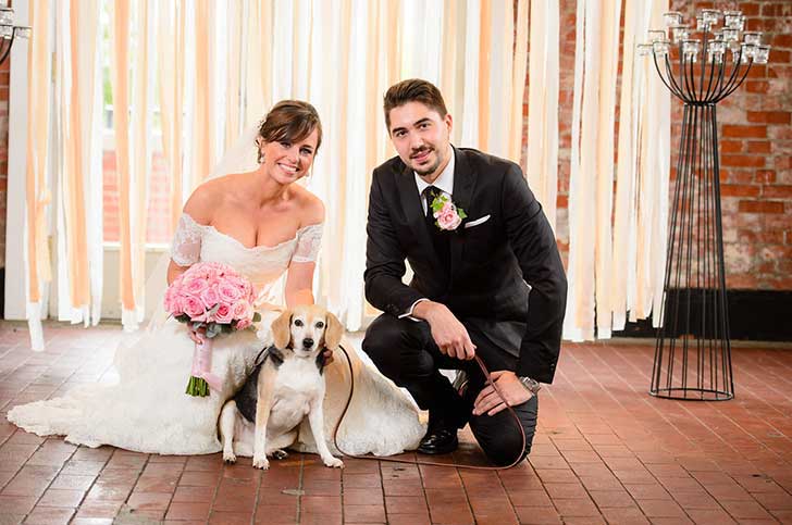 animales-en-bodas1