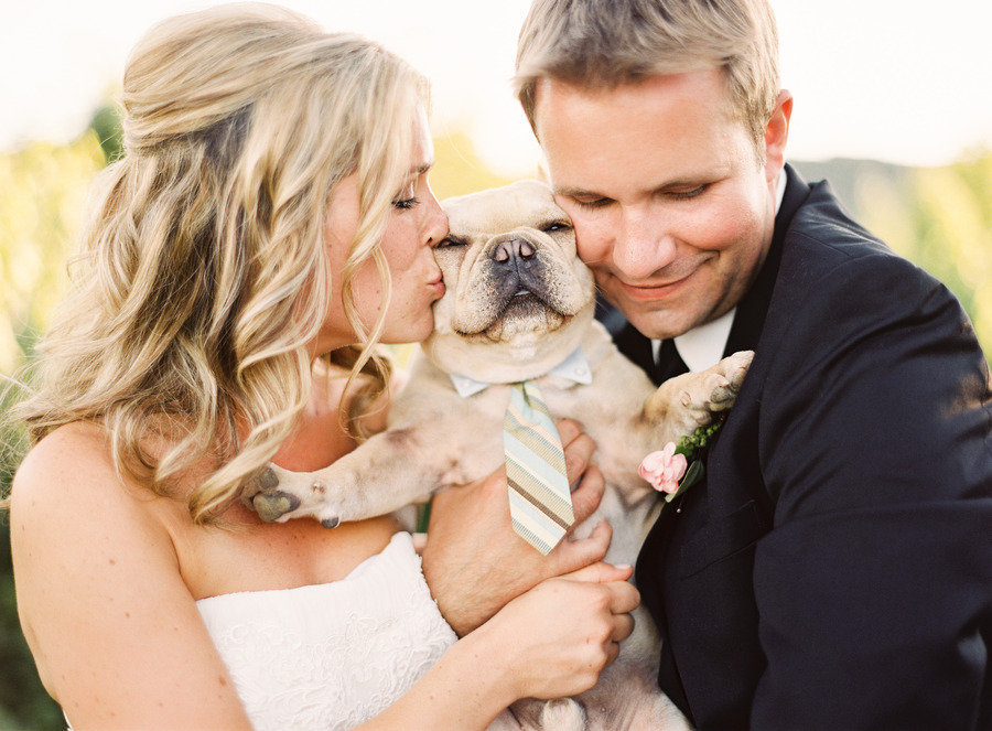 jordanmcbride.com-Dogs-in-Weddings-4-Jordan-McBride1