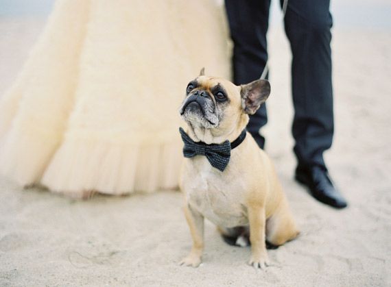 mascotas-en-las-bodas-by-wedsiting-91