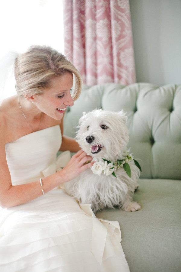 tu-mascota-en-tu-boda-the-blog-231-int