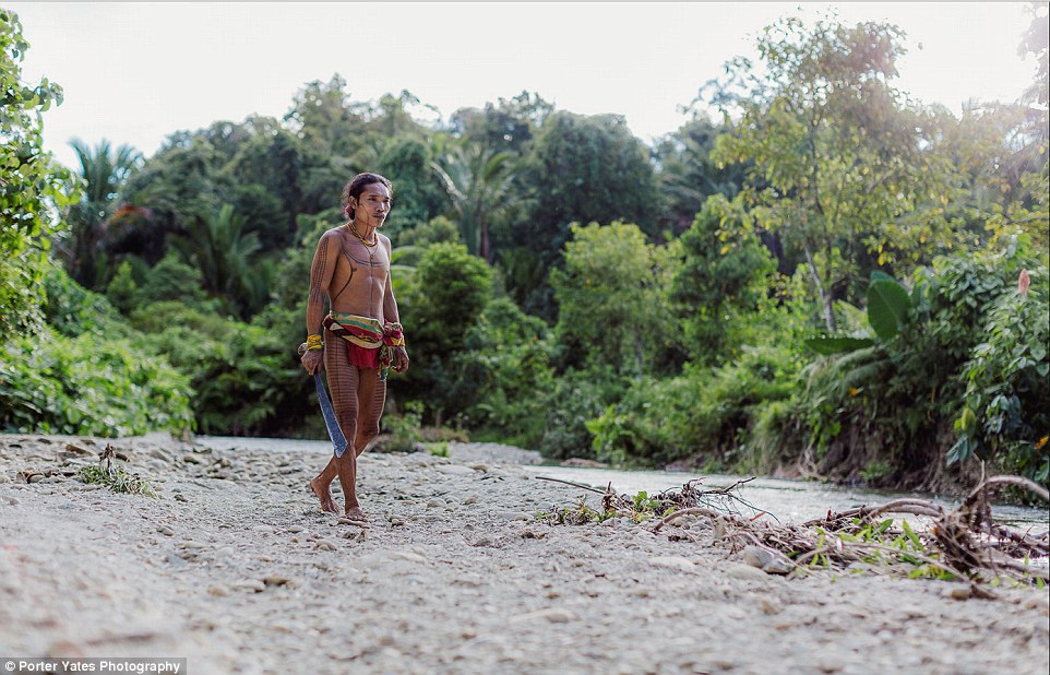 2D04C59C00000578-3257757-A_man_of_the_Mentawai_tribe_walks_by_a_river_bank_near_his_home_-a-88_1443800082498