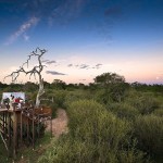 2D33531700000578-3265077-Guests_are_likely_to_hear_lions_roaring_hyenas_cackling_and_hipp-a-4_1444722189397
